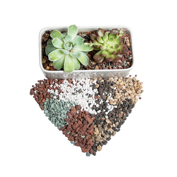 Bonsai Succulent Soil Potting Mix Ready to use Azalea Orchid