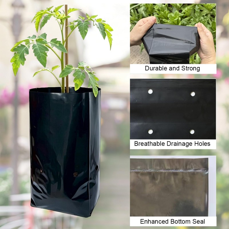 1 3/8 Gallon 50 Pcs Tall Plant Nursery Bags 5.5"
