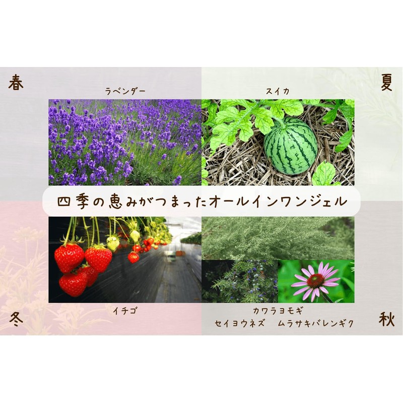 be oneself オールインワンジェル 115mL 1本 「ゆらぎ肌」の方に試して欲しい！奈良のイチゴとスイカで優しく包むオールインワンジェル