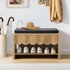 Shoe Storage Bench with Cushion, Shoe Rack Organizer Cabinet Bench