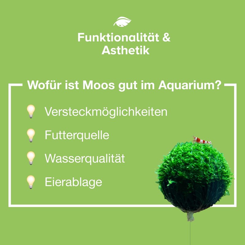 NatureHolic Floating Spheres Aquarium Moss Balls Floating Moss Balls for