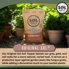 Sol Soils Original Sol Soil Topper – Decorative Rocks for