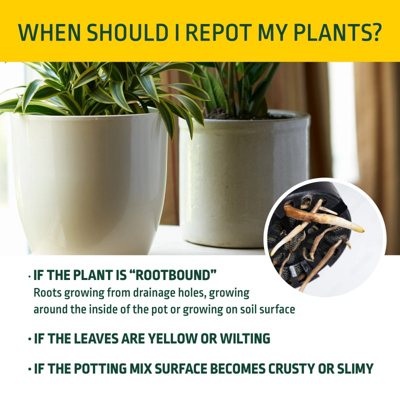 Expert Gardener Potting Mix for Potted Plants ( Choose Your