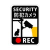 Security Sticker "Cats and Security Camera" SECURITY/REC a01 (Re-Release Sticker)