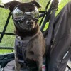 Vet Nets Polaris RZR Turbo R 4 Nets