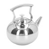 Stainless Steel Teapot Tea Kettle with Removable Filter High Temperature