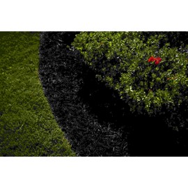 Black Mulch Dye, 6,400 Square Feet Coverage – Mulch Colorant for Landscaping & Garden Beds, Wood Mulch Dye, Mulch Color Restorer & Playground Bark Mulch, Eco-Friendly Mulch Paint – 1/2-Gallon Black