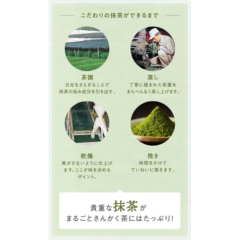 Tea Life Matcha Filled for Whole Teapots, 0.2 oz (5