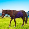Adjustable Horse Belly Guard Fly Sheet – Soft, Breathable &