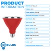 OHLECTRIC PAR38 Red Flood Light Bulb with E26 Base -