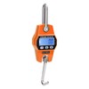LCD Digital Hanging Scale Handheld 300Kg Mini Crane Scale for