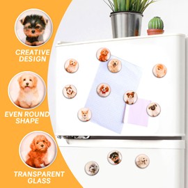 Glass Strong Animals Refrigerator Magnets,12 Pcs Decorative Magnets for Fridge Lovely Decor for Home Kitchen Office Whiteboard (Dog Refrigerator Magnet)