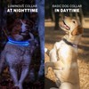 ZAPRIX LED Dog Collar - Bright Premium Weatherproof Light Up