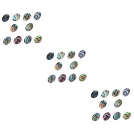 Operitacx 30 Pcs Accesorios Para Mujer Flat Coin Loose Beads Earrings for Women Trendy Womens Picture Frame Keychain Semi Precious Gemstone Beads Dragonfly Bracelet Miss Abalone Shell