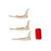 One Assorted Real Deer Jaw Bone