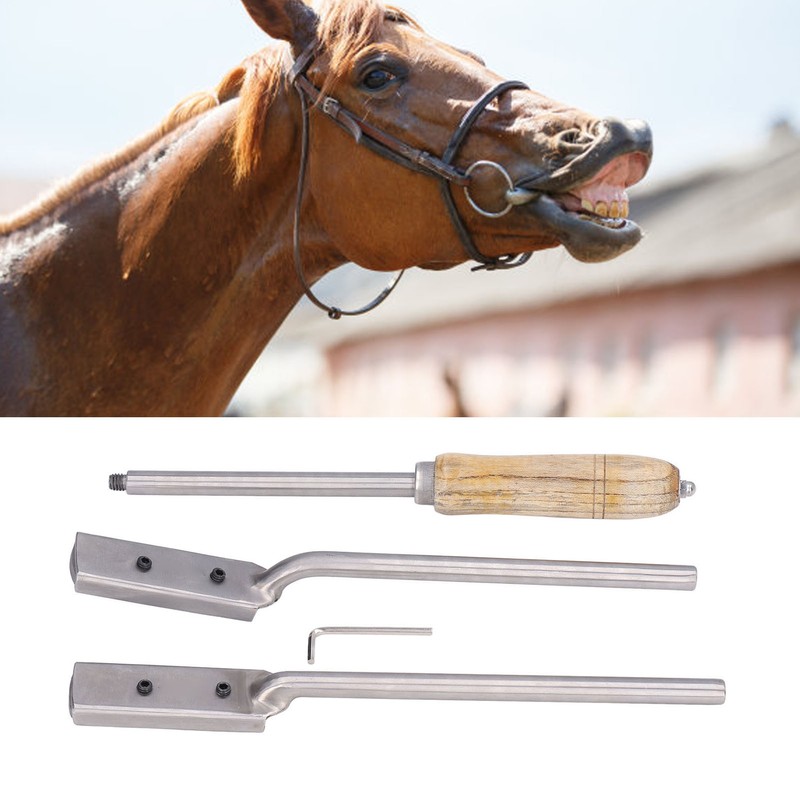 4Pcs Horse Dental Float Rasp High Flexibility Fine Polishing Smoother