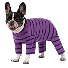 Dog Surgery Recovery Suit for Male/Female, Post Surgery Dog Shirt, After Surgery Dog Bodysuit, E-Collar & Cone Alternative Surgical Clothes, Anti-Licking Dog Snugly Onesie