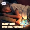 Loungelore Paint Your Own Turtle Lamp Kit, Art Supplies Arts