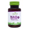 Nad Resveratrol Y Té Verde 30 Cap Vidanat Suplemento Sin