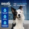 DOUXO® Skin & Coat SPA - Ultra-Safe Quick Refresh Leave-on