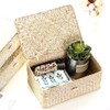 3 Pcs Wicker Shelf Storage Baskets with Lid Handwoven Seagrass