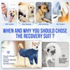 SlowTon Dog Surgery Recovery Suit - Female Male Dog Onesie
