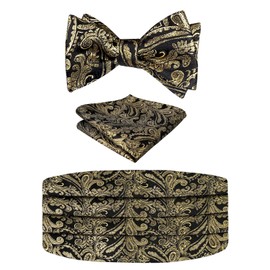 Alizeal Mens Paisley Cummerbund and UNTIED Bow Tie with Hanky Set (Black Gold)