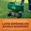 Scotts Turf Builder Grass Seed Bermudagrass – Lawn Seed with