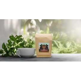 Strong and Bold Mexican Coffee Beans | Expressive Brew Jaguar Beans| Whole Bean Coffee | 12oz net weight | Medium Roast