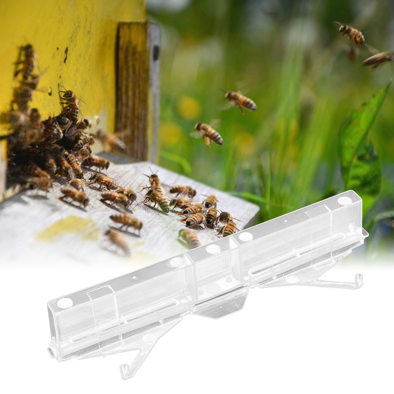20pcs Small Hives Beetle Trap Broodlings Collector Plastic Portable Beekeeping