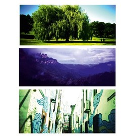 Holga 120 Panoramic Camera