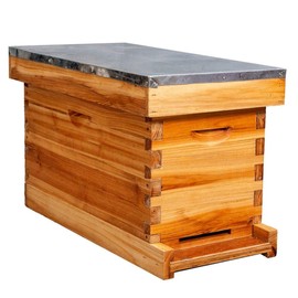 MayBee 5-Frame Nuc Beehive for Bees Complete Bee Hive Box Kit with Metal Roof Includes Wooden Frames & Waxed Foundations for Langstroth Beekeeping
