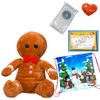 Gingerbread Man - 16 Inch/40cm Build a Teddy Bear Making