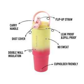 DLOCCOLD 30 oz Stainless Steel Tumbler with Straw & Handle, Insulated Double Walled Water Bottle for Home, Office, Car, Leak Proof, Reusable Cup with Flip Straw for Women Men, Cupholder Friendly