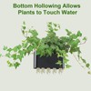2 PCS Aquarium Plant Holder Top Hanging Fish Tank Plant