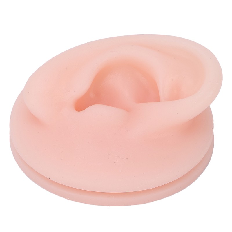 Professional Soft Silicone Ear Model Fake Ear Display Sample Ear