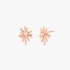 Gold&Deer 14K Goldfield Sparkle Star Earrings Yellow Gold / 골드앤디어