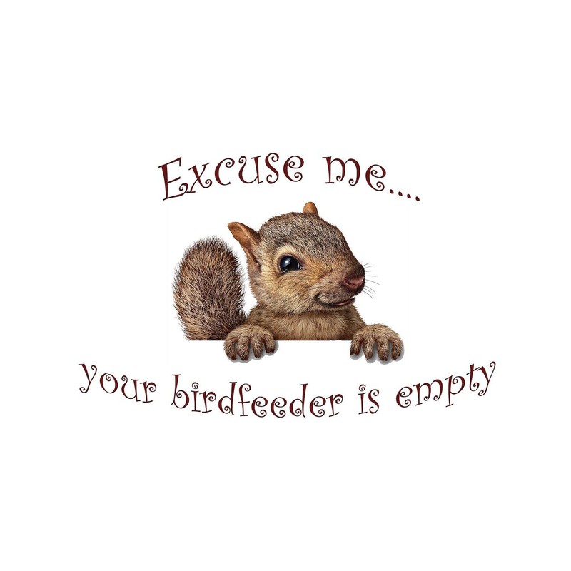 CafePress Excuse Me...Your Birdfeeder Is Empty Folded Greeting Card Matte