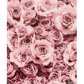 Free Beauty Agua De Rosas Tónico Facial 125ml Hipoalergénico Cruelty Free