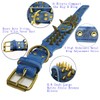 Kawagogo Spiked Studded Dog Collar with Large Sharp Spikes,2 Inch