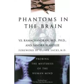 Phantoms in the Brain: Probing the Mysteries of the Human Mind - GOOD