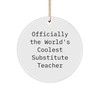 Funny Substitute Teacher Gifts from Friends for Christmas, 'Officially The