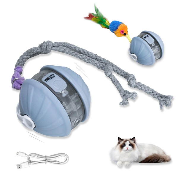 Oiuyamn Cat Interactive Ball Toys, Smart Ball for Indoor Cats,