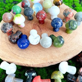 XIANNVXI 20 Pcs Healing Crystals Mushroom Natural Gemstones Stones Reiki Bulk Multi-Colours Quartz Crystal Stones Mushroom Gifts Mushroom Decor