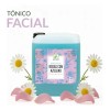 Tónico Facial Hidratante De Rosas Con Azuleno 10 Litros