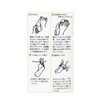 Dressing Room Socks Class White Calico Socks Sarah Sheer Back