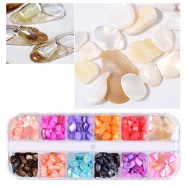 1 Box 12 Colors Seashell Nail Stone Parts Nail Resin Gel Nail Marble Shell Nail Art Nail Parts Resin UV Resin Craft Resin Parts UV Resin Accessories Natural Stone Stone Stone Stone