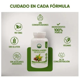 Rhodiola Rosea 525 mg | 60 Cápsulas | Extracto 3% de Alta Pureza | Adaptogeno Apoyo para Estrés, Energía y Balance Diario
