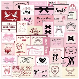 50Pcs Pink Ballet Style Stickers for Girls, Ballerina Gifts for Girls - Ballerina Party Favors, Birthday Party Decorations, Laptop Water Bottles Car Bumper,Luggage,Skateboard (Pink-2)