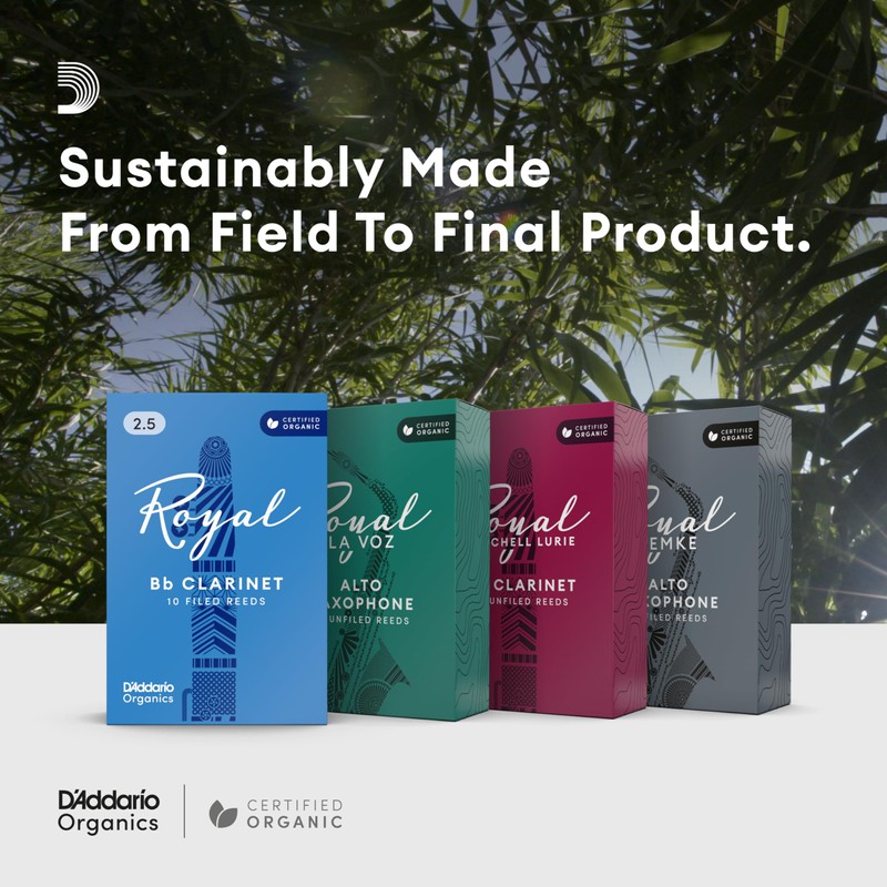 D’Addario Woodwinds Royal Bb Clarinet Reeds - B Flat Clarinet